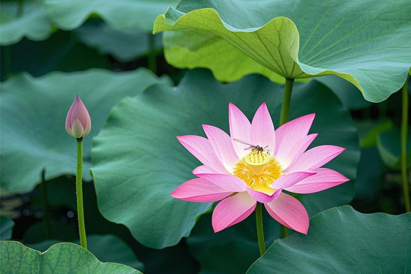 PG���ӡ�(�й�)�ٷ���վ