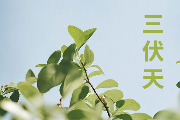 PG电子·(中国)官方网站